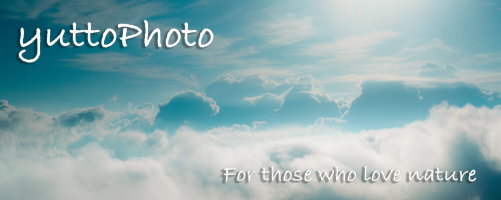 yuttoPhoto
