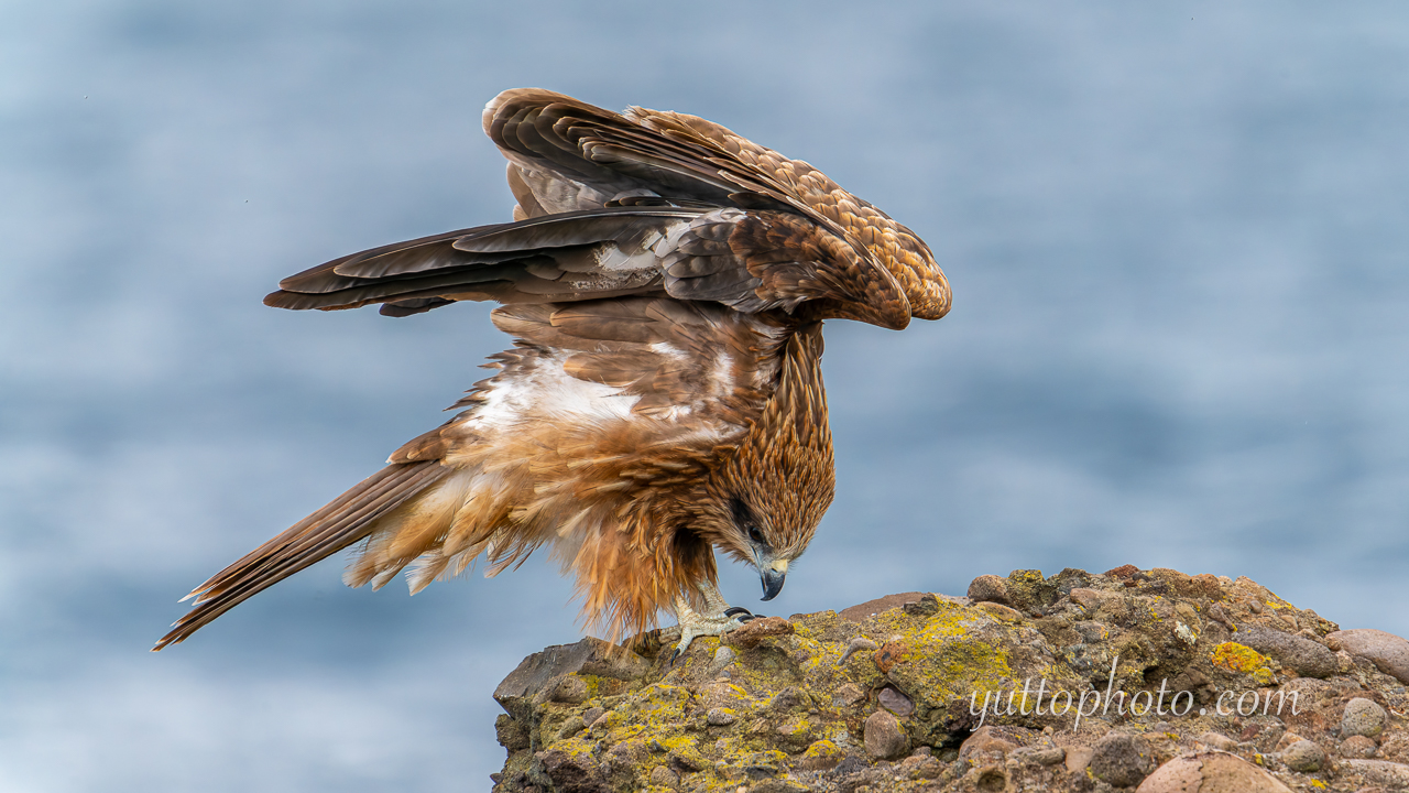 yuttophoto_060012