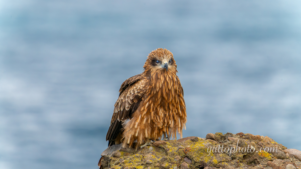 yuttophoto_060013