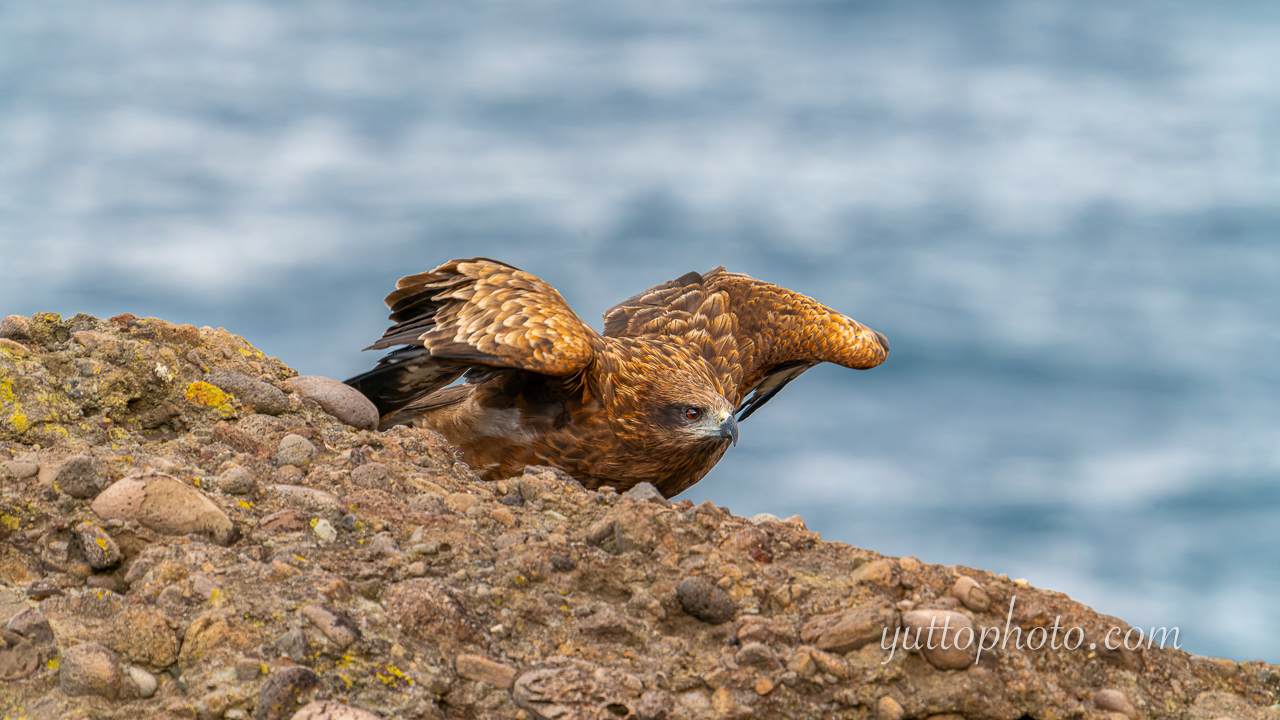 yuttophoto_060014