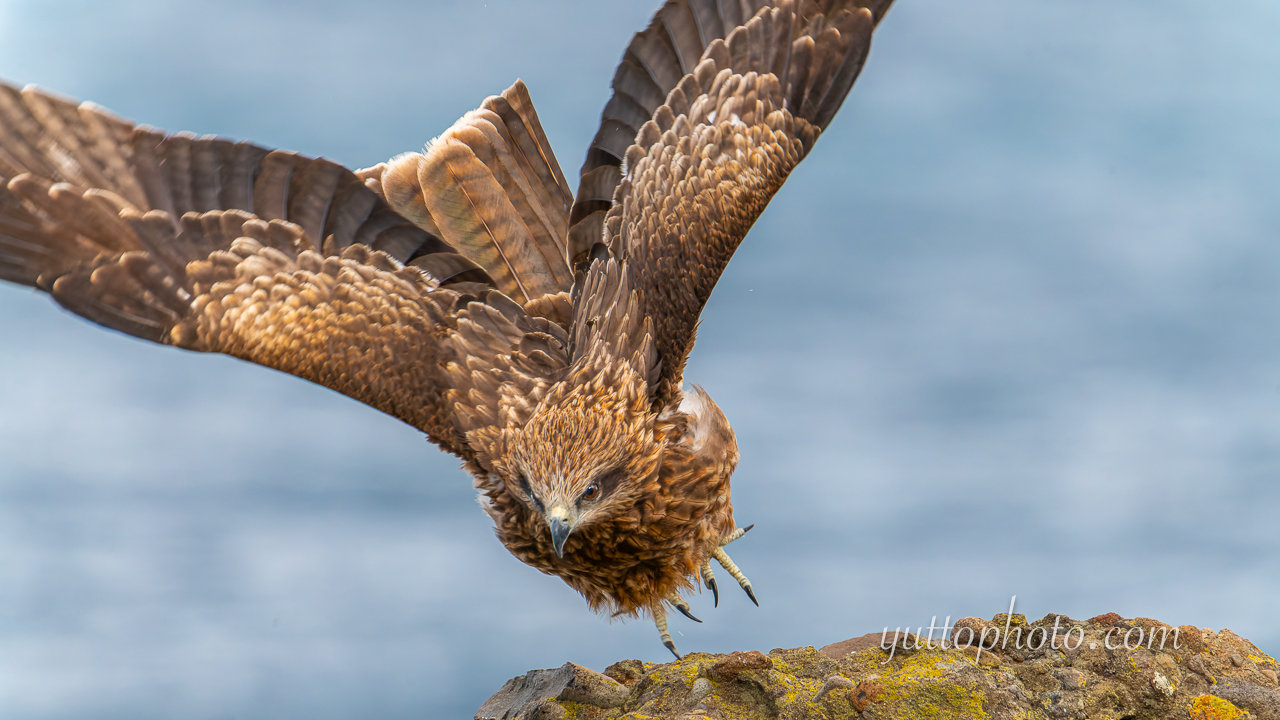 yuttophoto_060015