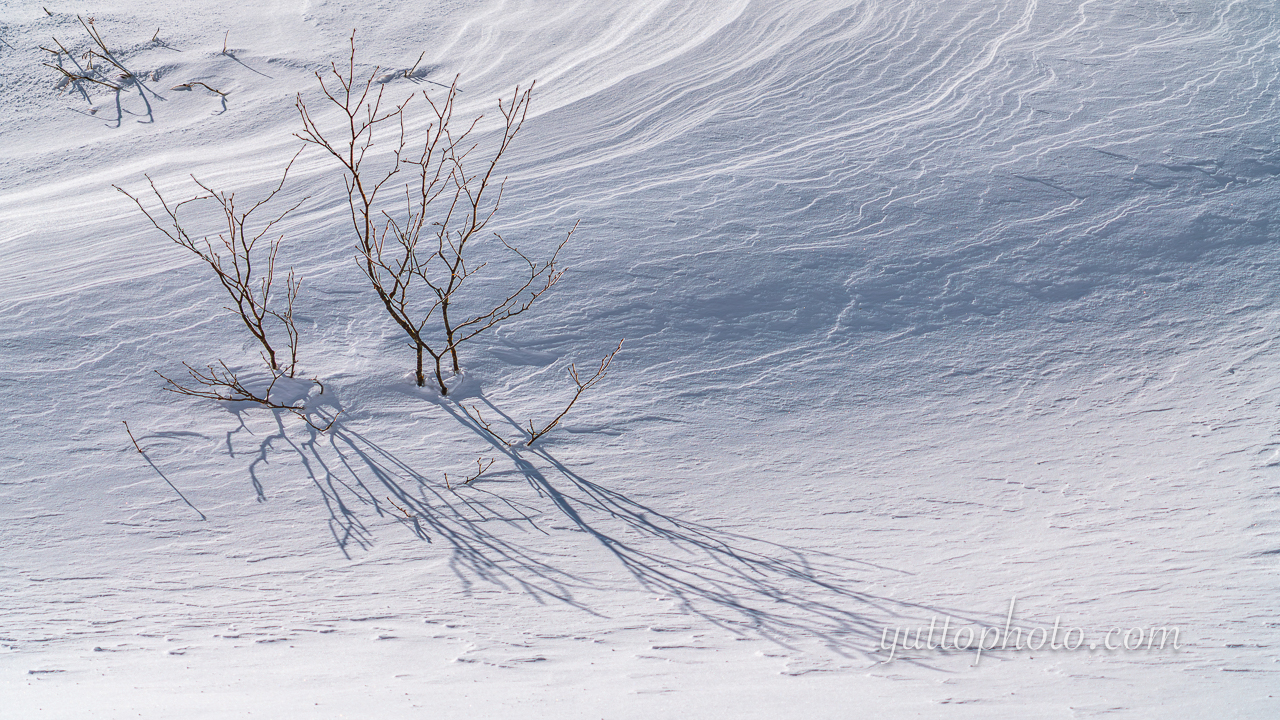 yuttophoto_070006