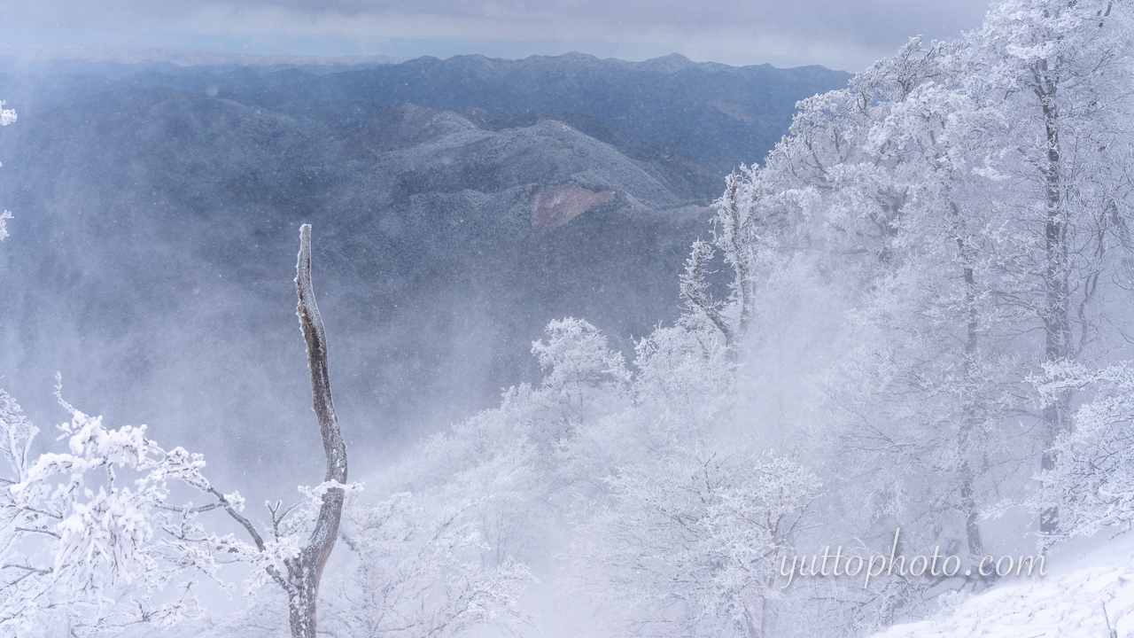 yuttophoto_070016