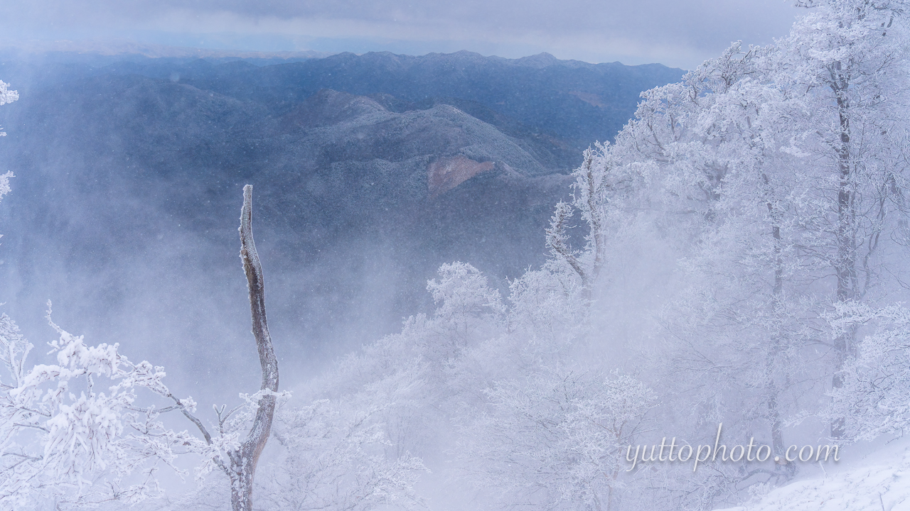 yuttophoto_070016