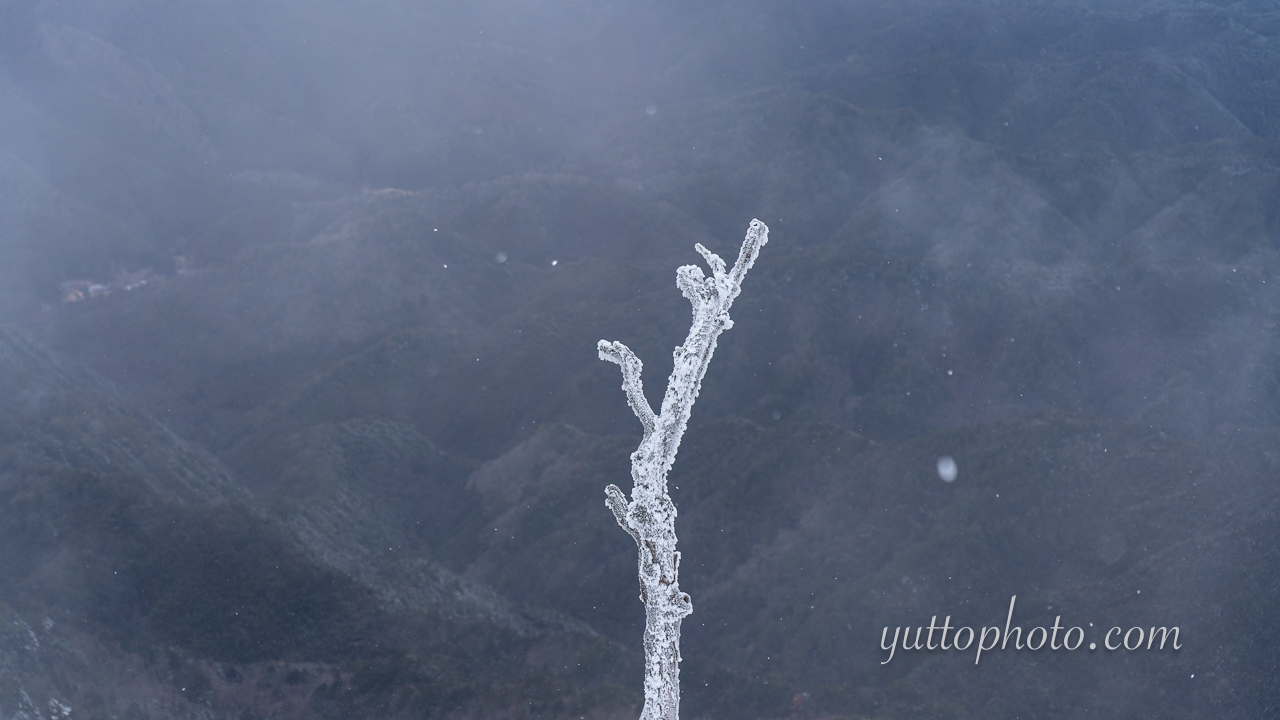 yuttophoto_070017