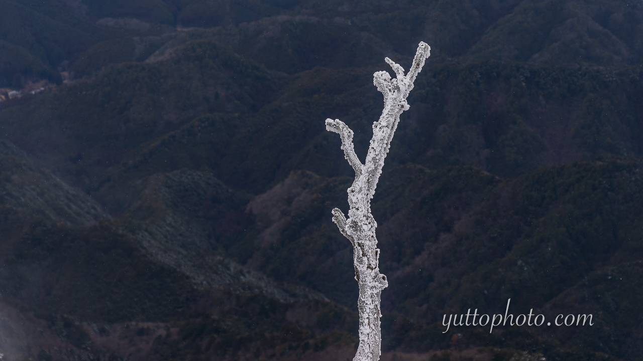 yuttophoto_070017