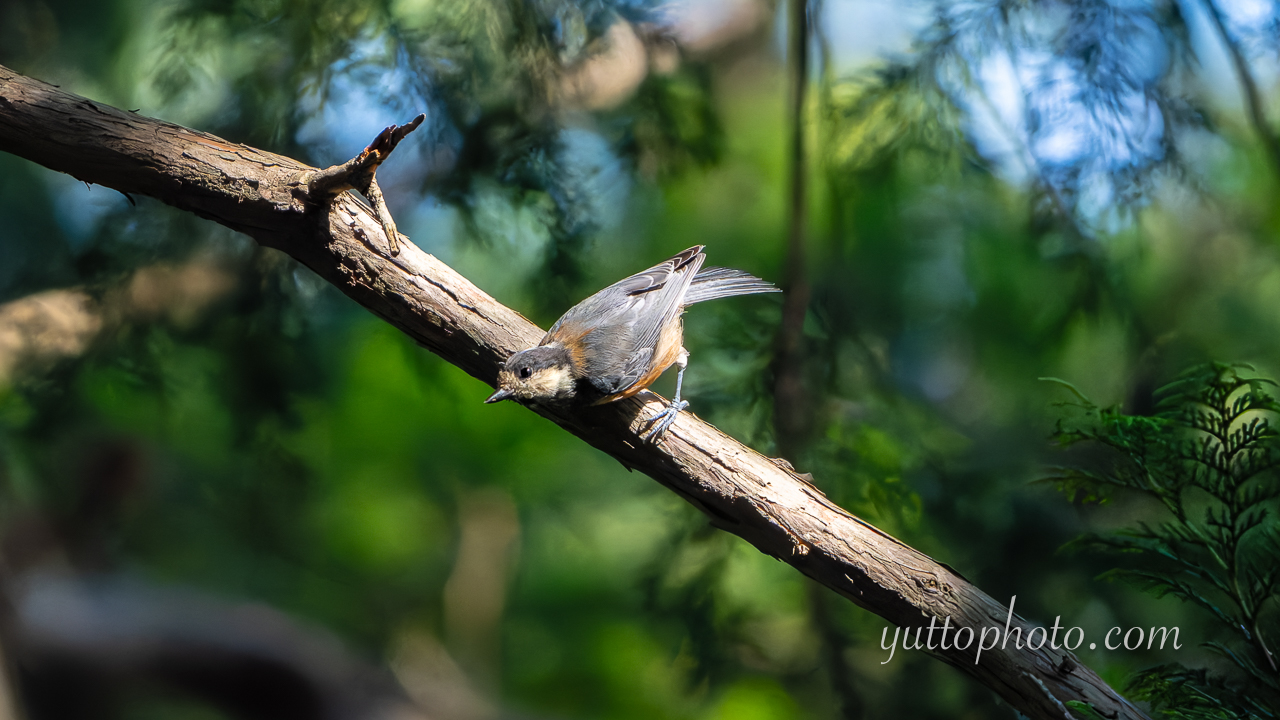 yuttophoto_060048