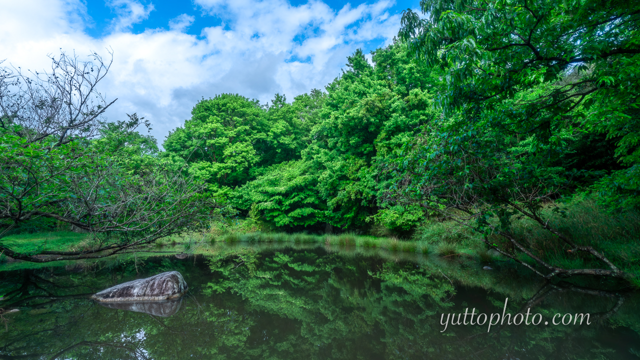 yuttophoto_070018