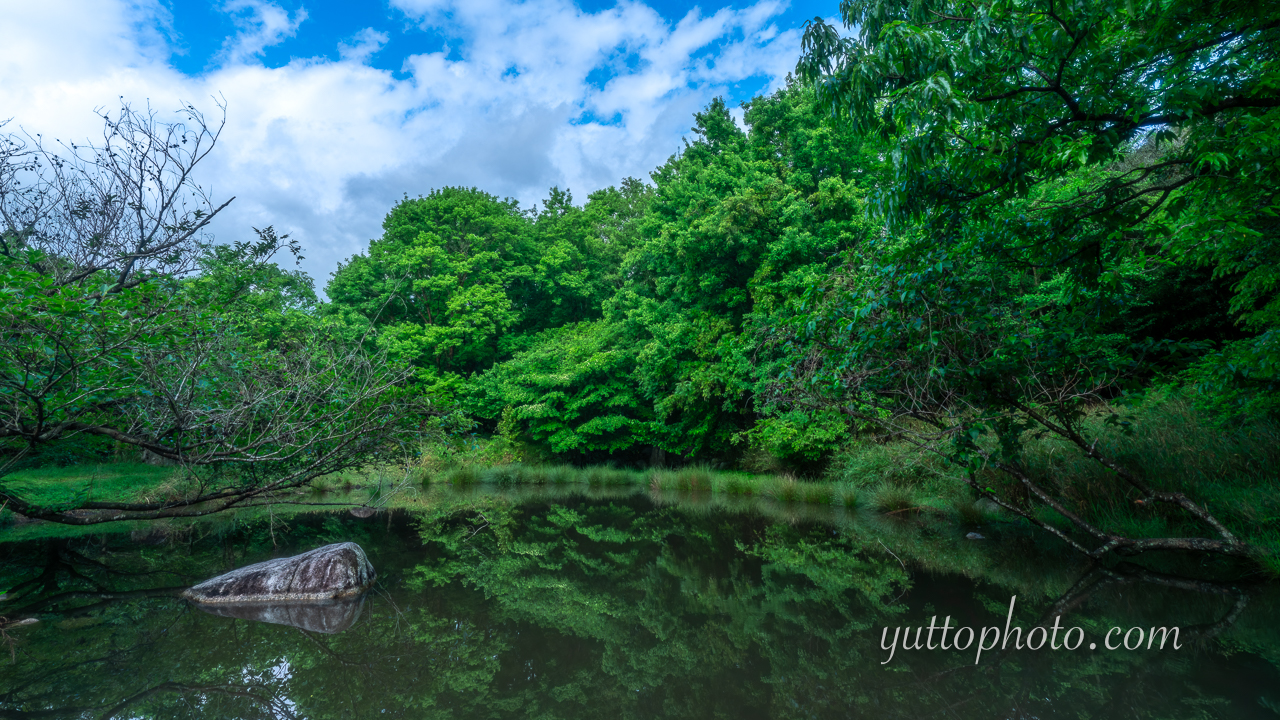 yuttophoto_070018