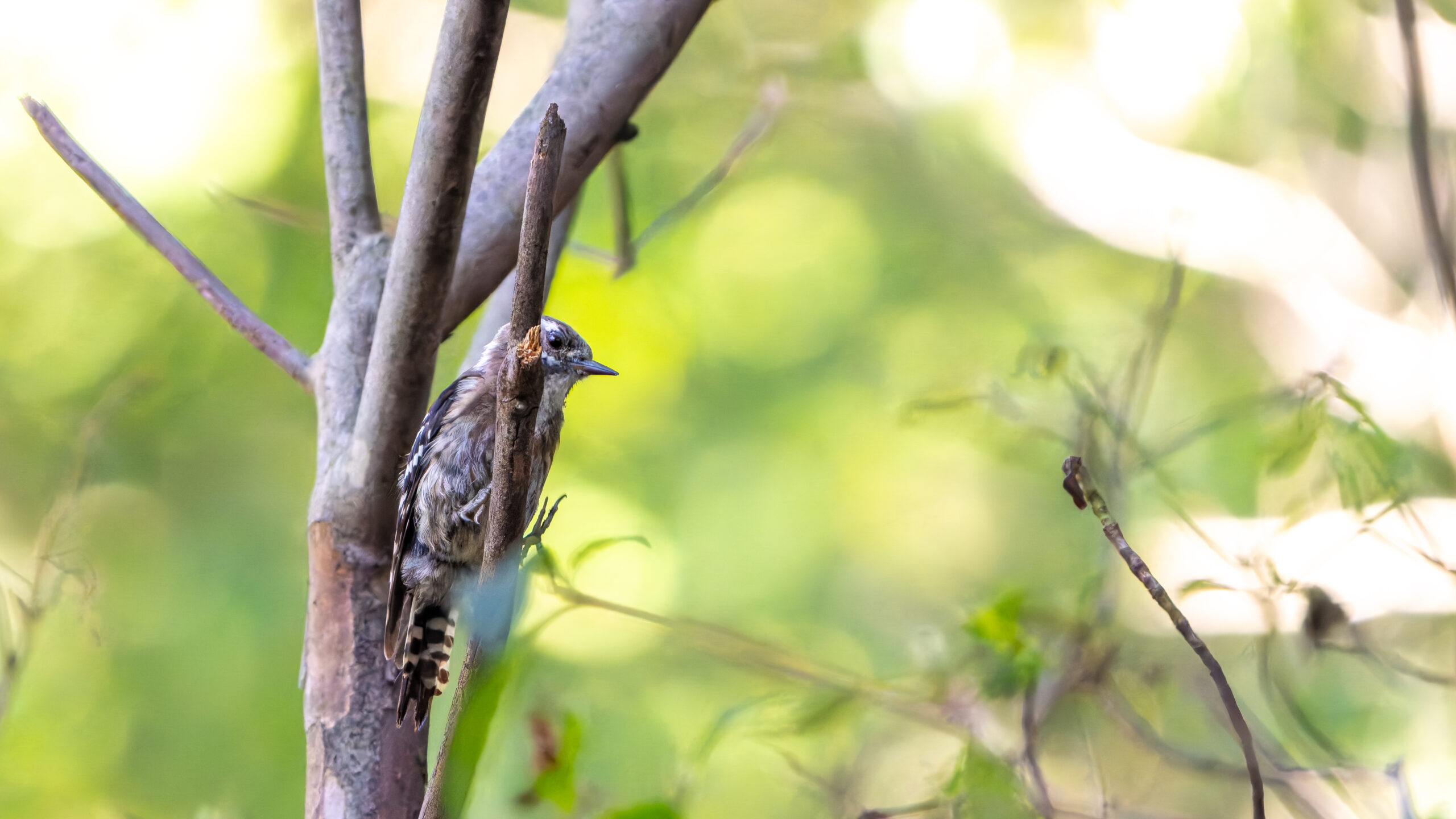 yuttophoto_060041