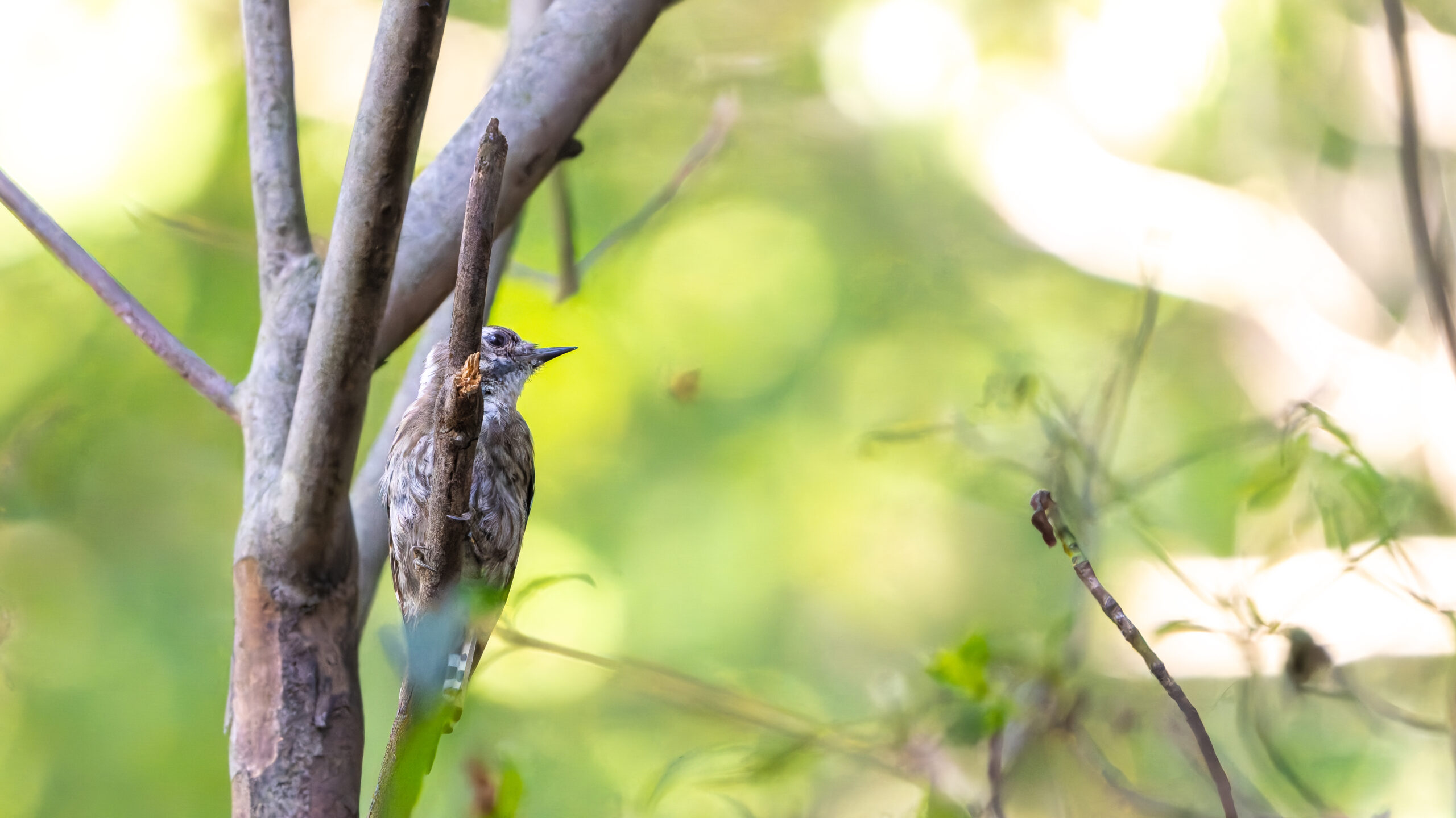 yuttophoto_060042