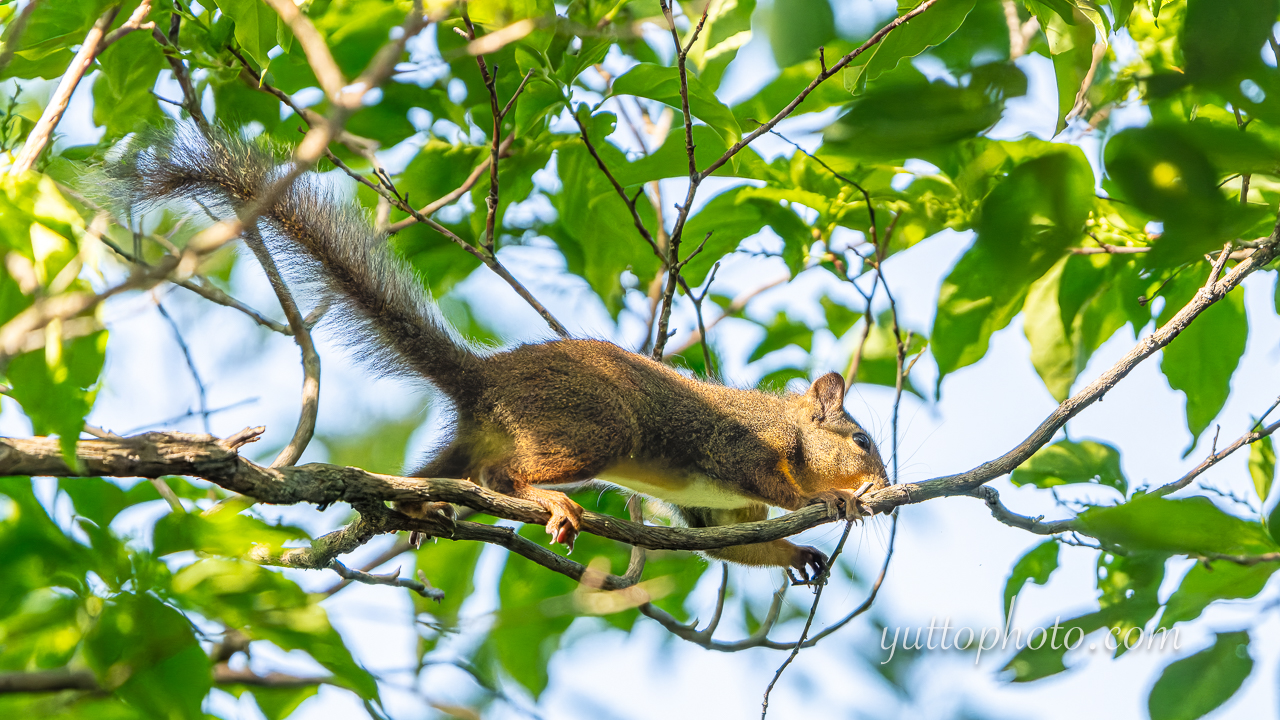 yuttophoto_060061