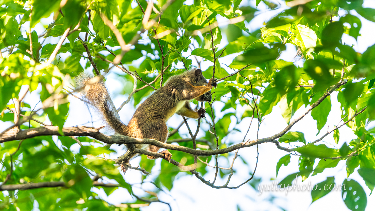 yuttophoto_060063