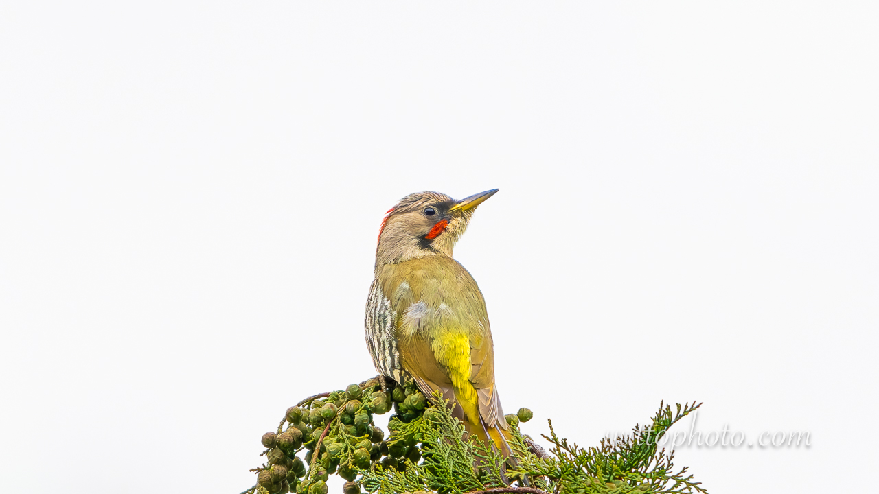 yuttophoto_060067