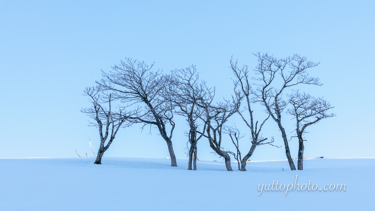yuttophoto_070001