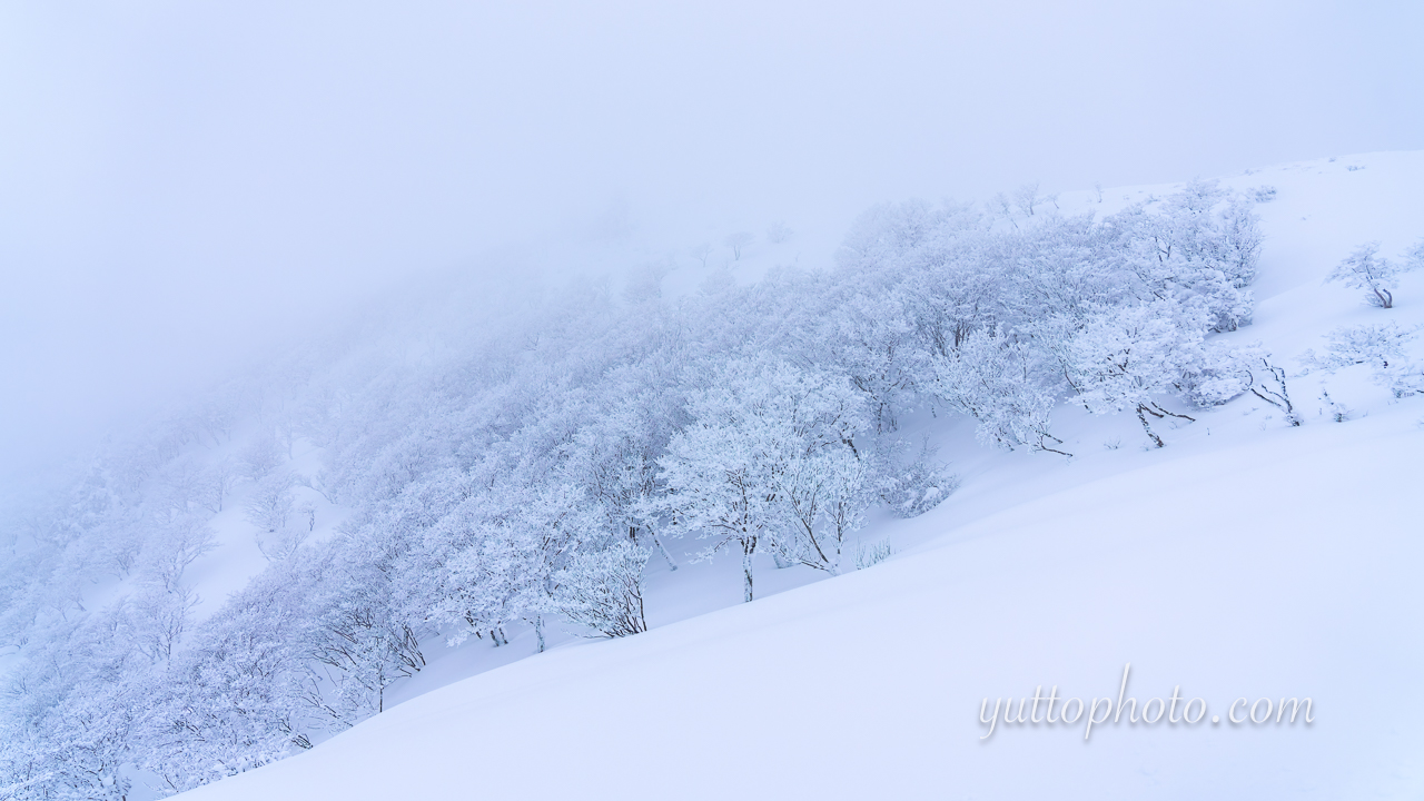 yuttophoto_070008