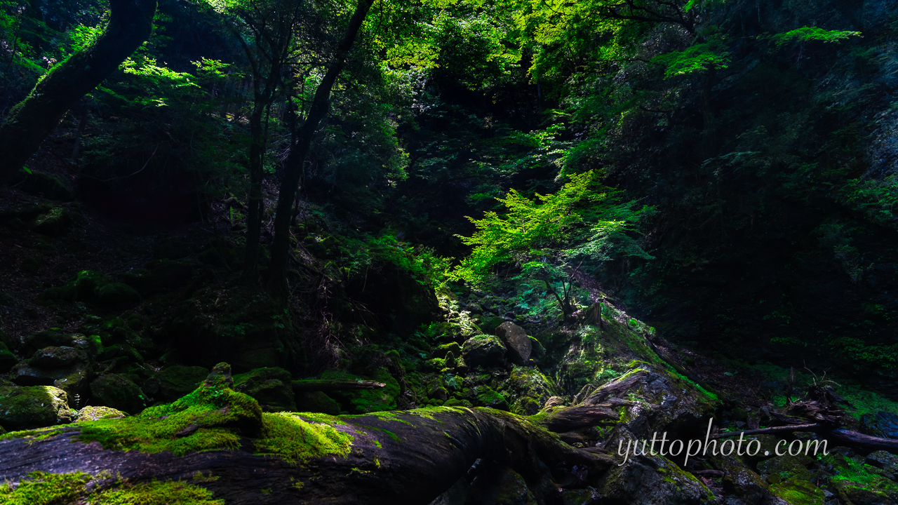 yuttophoto_100001